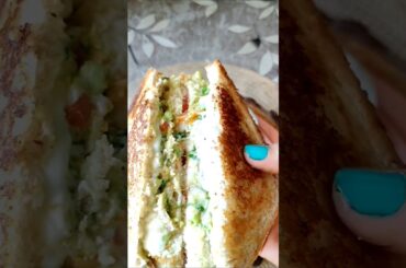 Avocado Sandwich Recipe  #sandwich #avocado #breakfast #shorts #youtubeshorts #viral #shortsfeed