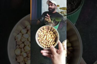 High Protein Sattu Milkshake #niteshsoni#healthyrecipes#sattu#food