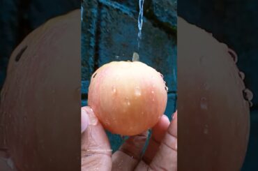 Apple chaat Recipe | Apple salad | Healthy Snacks #shorts