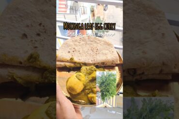 Moringa Leaf Egg Curry| #moringa #eggrecipe #healthyrecipes #immunitybooster