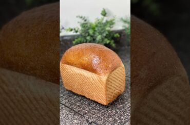 Fluffy Whole wheat bread recipe quick and easy Better than store bought #wholewheat #breadrecipe