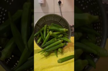 Bindi fry good veggies | healthy breakfast recipe | vegetarian food| #trendingshorts #shots #food