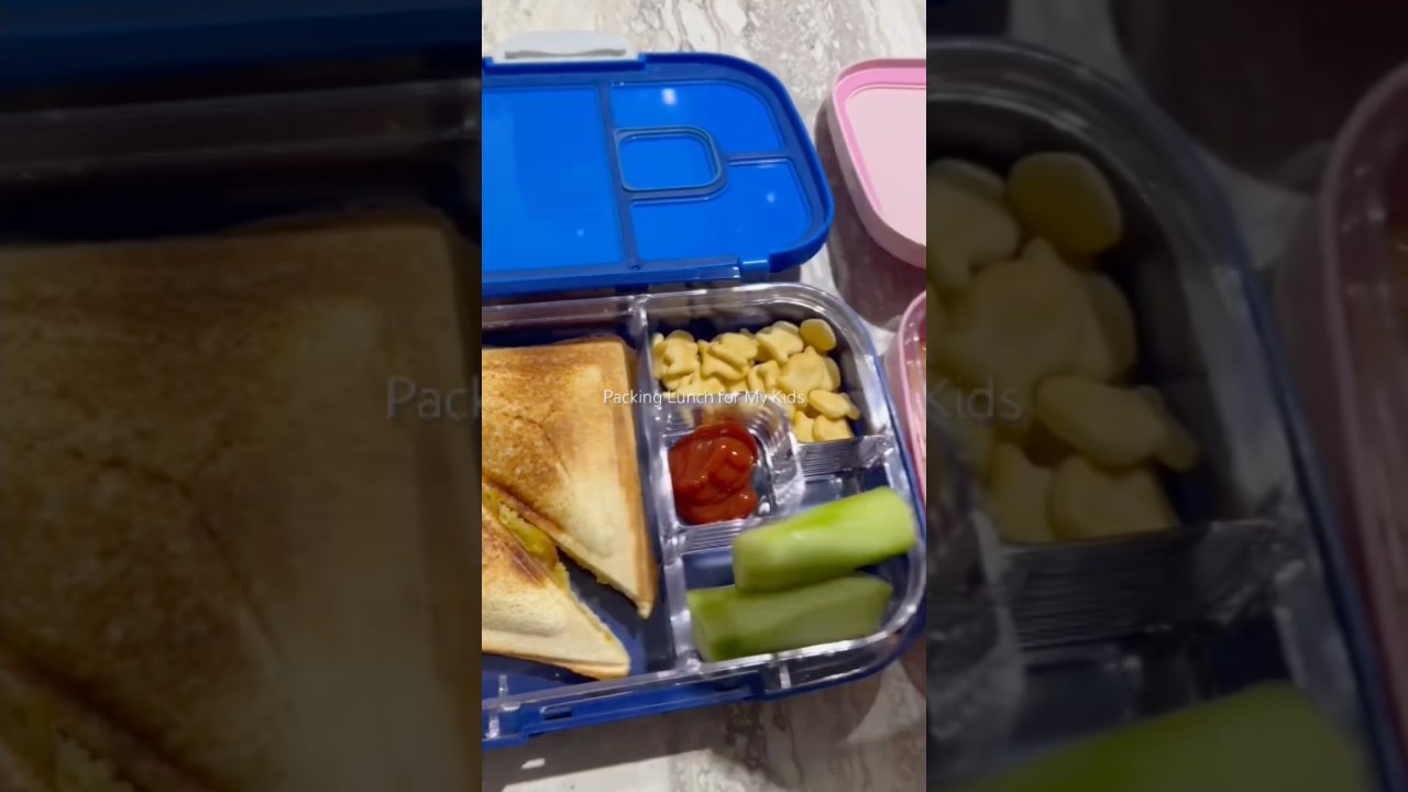Packing School Lunch for Kids #shorts Packing School Lunch for Kids #shorts
