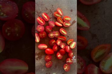 Fresh Tomato Salad Recipe | 3 Simple Ingredients