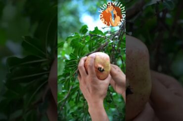 Garden Fresh Fruits to Healthy Snack | KiwiPomegranate &More#traditional#food#fruits#recipe#handmade