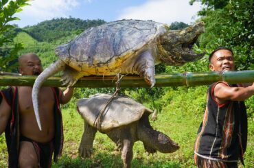 Cooking Whole Turtle | Healthy Recipe for Cooking Whole Turtle Meat | Dwarf Food