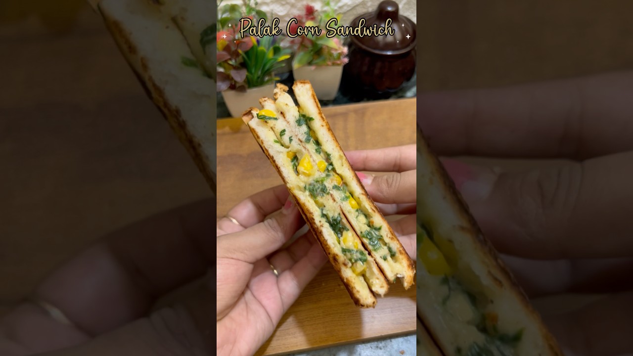 Healthy palak corn sandwich #recipe #shorts #youtubeshorts #sandwich Healthy palak corn sandwich #recipe #shorts #youtubeshorts #sandwich