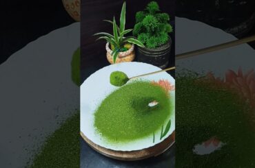 Moringa powder benefits By Vedant Sir #food #health #ayurved #cooking #recipe