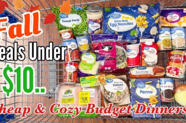 Cheap & Delicious Fall Dinners Under $10 | Quick & EASY Budget Meals | Julia Pacheco