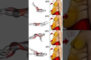 I Tried The Most Viral Belly Fat Workouts #shorts  #FatBurn