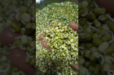 Healthy Breakfast Recipe preparation part1 #youtubeshortvideo