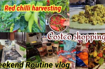 Weekend Routine vlog | Costco shopping haul | Healthy brunch dinner recipes