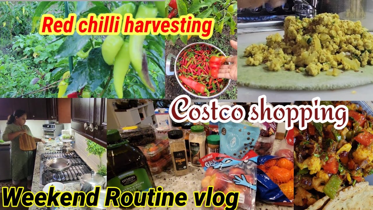 Weekend Routine vlog | Costco shopping haul | Healthy brunch dinner recipes Weekend Routine vlog | Costco shopping haul | Healthy brunch dinner recipes