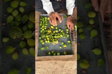 kantola bhaji #shorts #food #recipe #healthy #reels #vilegelife