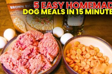5 Easy Homemade Dog Meals in 15 Minutes || Quick & Healthy Recipes for Busy Owners