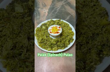Palak Pulao (Spinach Rice) healthy Bhi Tasty Bhi #cooking #food #recipe #palakpulao #akshaykumar