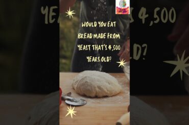 Do you know the yeast from tombs?#foodtechnology #food #foodshorts #bread