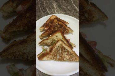 healthy vegetable sandwich bacchon ko tiffin mai ya banaa kar de#elvishyadav #food #shorts #recipe