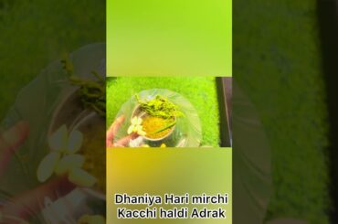 Moong Dal Chilla | Healthy Breakfast Recipe For Weight Loss #viral #healthy #protein