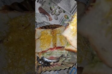 VEG SANDWICH #sandwich #vegsandwich #sandwiches #sandwhichrecipe