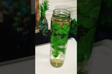 Detox water by Manav Health #shorts #recipe #food #healthbenefits  #ayurveda #viral