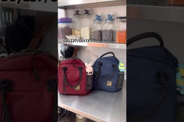 Day237:Malli Thuvaiyal #food #cooking #tamil #recipe #lunch #home #kitchen #school #shorts #fish