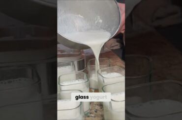 Super SIBO Yogurt Recipe: Updated & Delicious! #sibo #supersiborecipe #drdavis