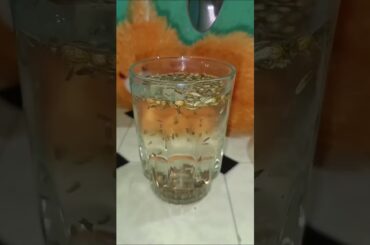 Gas Constipation Benefits Drink #shorts #recipe #food #health #ytshorts #shortsfeed #trending