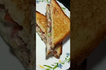 Healthy Sandwich #sandwich #shorts #recipe #recipes #bread #breadrecipe