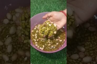 Weight Loss Recipe #shorts #viral #shortsviral #trending #youtubeshorts