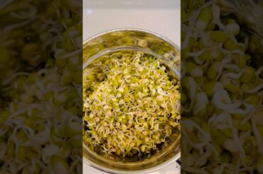 Healthy instant dosa#easy breakfast#easydinner#healthy breakfast#healthydinner#easy breakfastrecipes