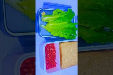 #lunchbox  #healthy #bread #rice #sambar #egg #song #arrahman #entertainment #love #folksong