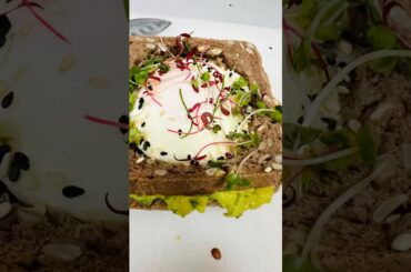 Healthy Breakfast Sandwich | Multigrain Bread with Avocado & Sunny Side Up Egg | Easy Chef Recipe