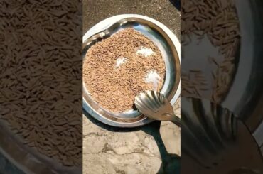 #cuminseeds # for weight lose # benefits # viral # health care