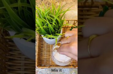 Healthy chia pudding / morning breakfast option / weight loss recipe