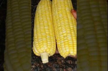 Corn salad/Healthy Salad #saladrecipe #cornsalad #healthyfood #shorts