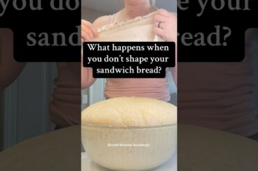 Not shaping my #sourdough sandwich bread #breadmaking #sourdoughbread #shaping #baking