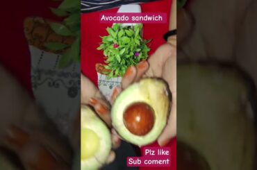 avocado sandwich #avocadosandwich #trending #youtubeshorts #ytshorts #shortsfeed #shorts #shortsfeed