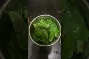 Curry leaves juice// To reduce Cholesterol// DP HOUSE//Malayalam vlog # Shorts