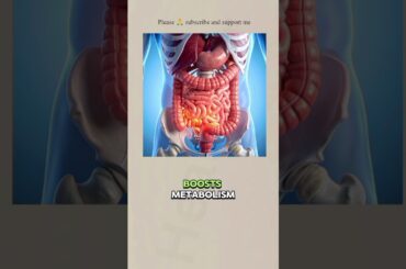 9 Low-Calorie Breakfast Ideas to Burn Fat & Stay Full #lowcalorie #breakfast #weightloss #health