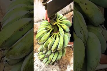 Banana: Grow This Tropical Superfood! (Easy Guide, Health Benefits & Recipes)
