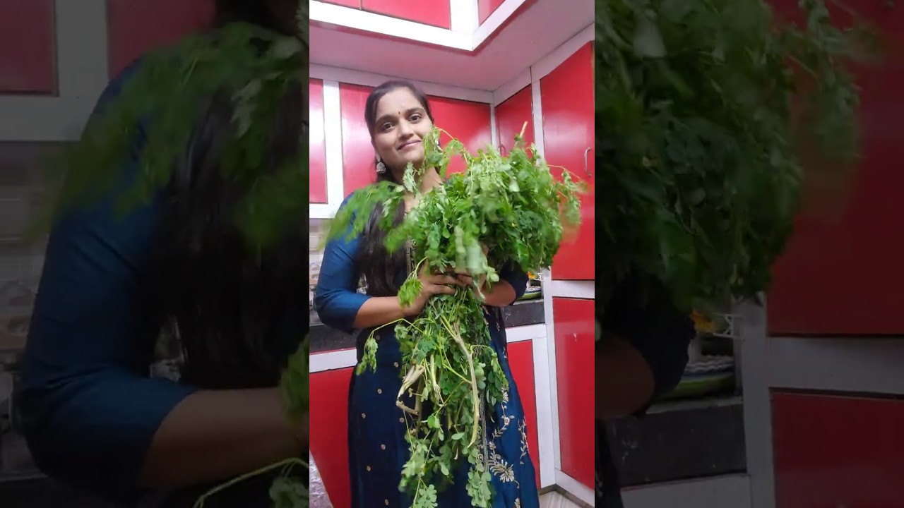 Healthy and tasty breakfast recipe … munagaku roti recipe#roti#drumstick#munagaku#breakfast#tips Healthy and tasty breakfast recipe ... munagaku roti recipe#roti#drumstick#munagaku#breakfast#tips