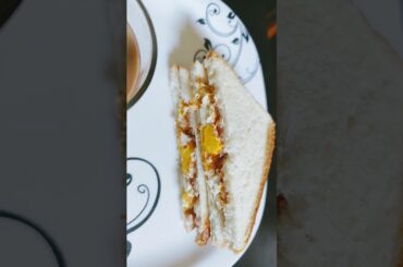 Healthy Breakfast Idea #breakfast #nasta #breakfastrecipe #breakfastideas #tea #teatime #bread #ruti