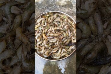 Prawns Gravy Recipe|Villagers Cooking Prawns Masala|Shrimp Curry|Healthy Village Food