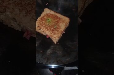 High protein sandwich recipe ||healthy sandwich recipe || mix veg sandwich recipe