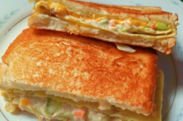 Healthy Tasty Egg Veg Sandwich Recipe | How to Make Healthy Breakfast | Easy Egg Veg Snacks