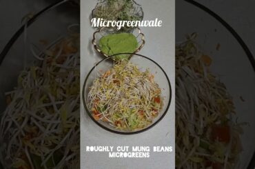 High protein high fiber high Neutration low calorie  microgreens salad #food #recipe #salad #video