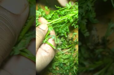 "Asaan aur Mazedar Chana Dal Recipe | 1-Minute Healthy Nashta Idea"