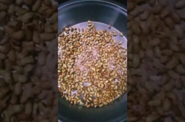 Soyabean namkeen#simple #namkeens #shortsvideo