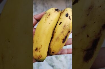 Healthy breakfast Recipe by Acharya Manish ji #food #short #sprout #moong #healthy#shortvideo